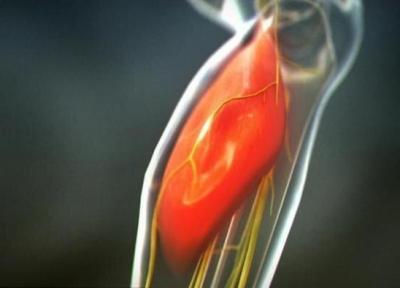 چطور گرمازدگی رخ می دهد و با بدن انسان چه می نماید؟