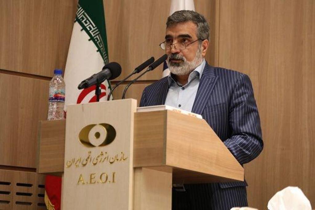 حضور شرکت های ایرانی در ساخت واحدهای دوم و سوم نیروگاه اتمی بوشهر