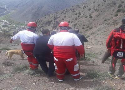 قارچی که مرگ به ارمغان آورد