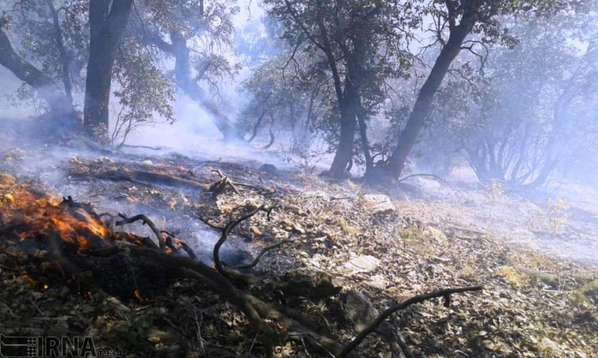 خبرنگاران آتش دوباره به جان جنگل های شمال دزفول افتاد خبرنگاران آتش دوباره به جان جنگل های شمال دزفول افتاد
