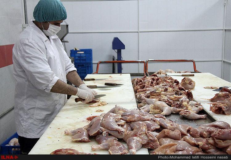 اعلام زمان توزیع مرغ 15هزار تومانی در تهران