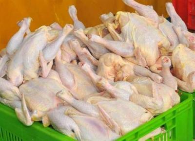 بیش از 3 میلیون قطعه مرغ گرم به بازار عرضه شد