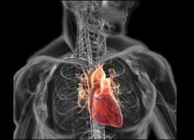 توسعه ابزاری برای رصد سلول های قلب با کمک محققان ایرانی