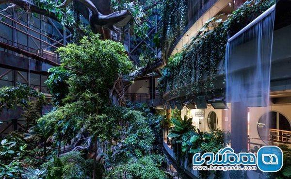 تور دبی ارزان: جنگل بارانی دبی یکی از جاذبه های گردشگری امارات به شمار می رود