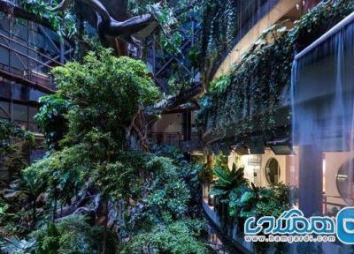 تور دبی ارزان: جنگل بارانی دبی یکی از جاذبه های گردشگری امارات به شمار می رود